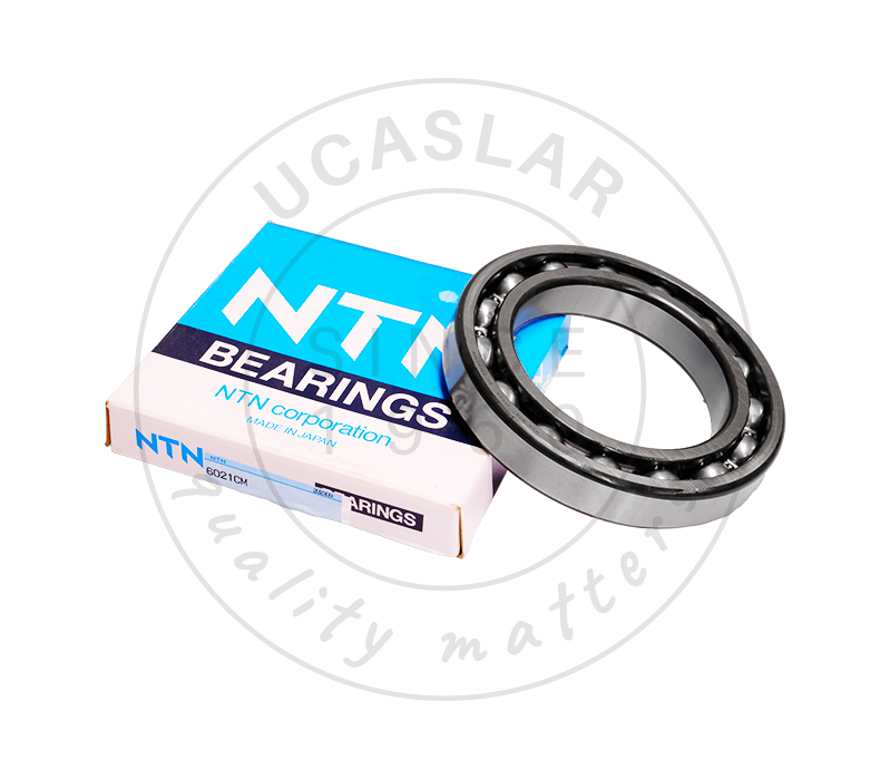 06000-06021 Bearing Ball